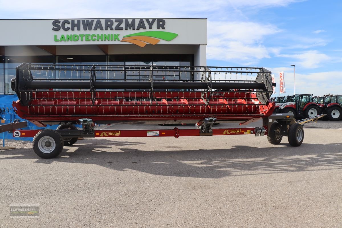 Sonstige Gemüsetechnik van het type Ziegler Schneidwerkswagen für 3050 6,7 2WT, Neumaschine in Gampern (Foto 1)