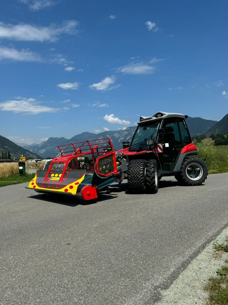 Sonstige Grünlandtechnik & Futtererntetechnik Türe ait Aebi PS - Alpin 250, Ausstellungsmaschine içinde Landquart (resim 2)