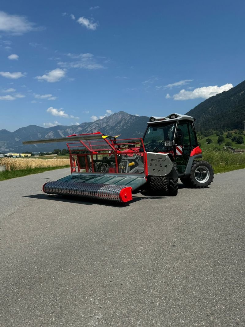 Sonstige Grünlandtechnik & Futtererntetechnik des Typs Aebi PS - Alpin 250, Ausstellungsmaschine in Landquart (Bild 3)