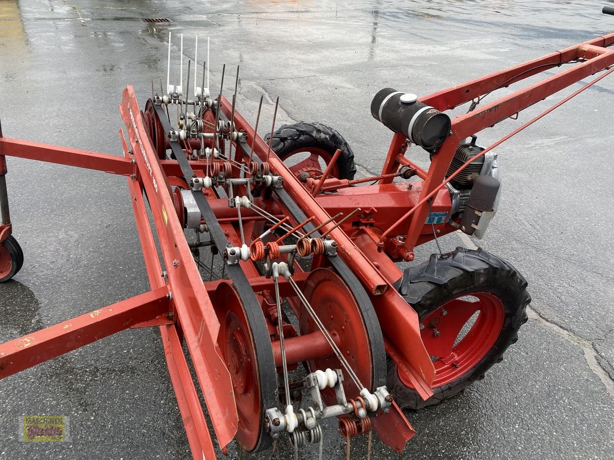 Sonstige Grünlandtechnik & Futtererntetechnik van het type Pöttinger Heuraupe 160, Gebrauchtmaschine in Kötschach (Foto 20)