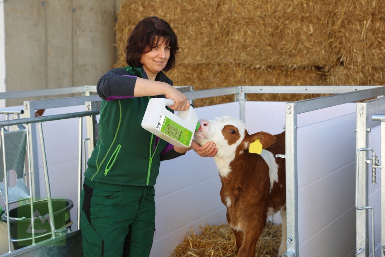 Sonstige Hoftechnik del tipo Kerbl Kerbl Kälberbox groß (201 cm x 107 cm) (kostenlose Lieferung), Neumaschine en Weiz (Imagen 15)