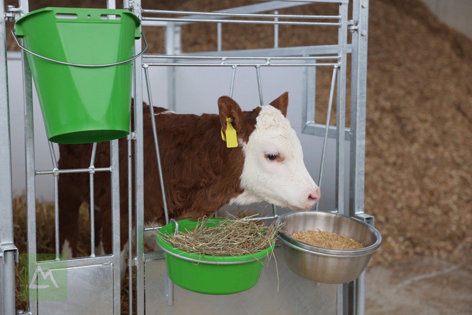 Sonstige Hoftechnik typu Kerbl Kerbl Kälberbox Premium mit schwenkbarem Boden (kostenlose Lieferung), Neumaschine v Weiz (Obrázek 12)