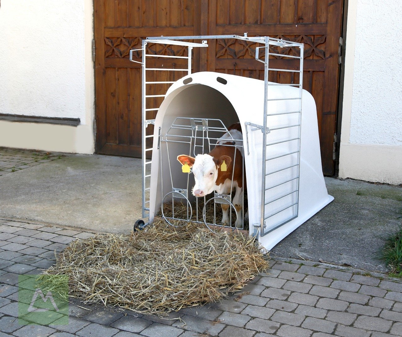 Sonstige Hoftechnik des Typs Kerbl Kerbl Kälberhütte Master Plus mit leichter Umzäunung (kostenlose Lieferung), Neumaschine in Weiz (Bild 4)