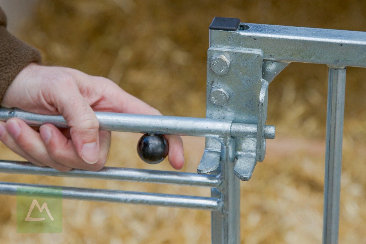 Sonstige Hoftechnik typu Kerbl Kerbl Kälberhütte Master Plus mit leichter Umzäunung (kostenlose Lieferung), Neumaschine v Weiz (Obrázok 12)