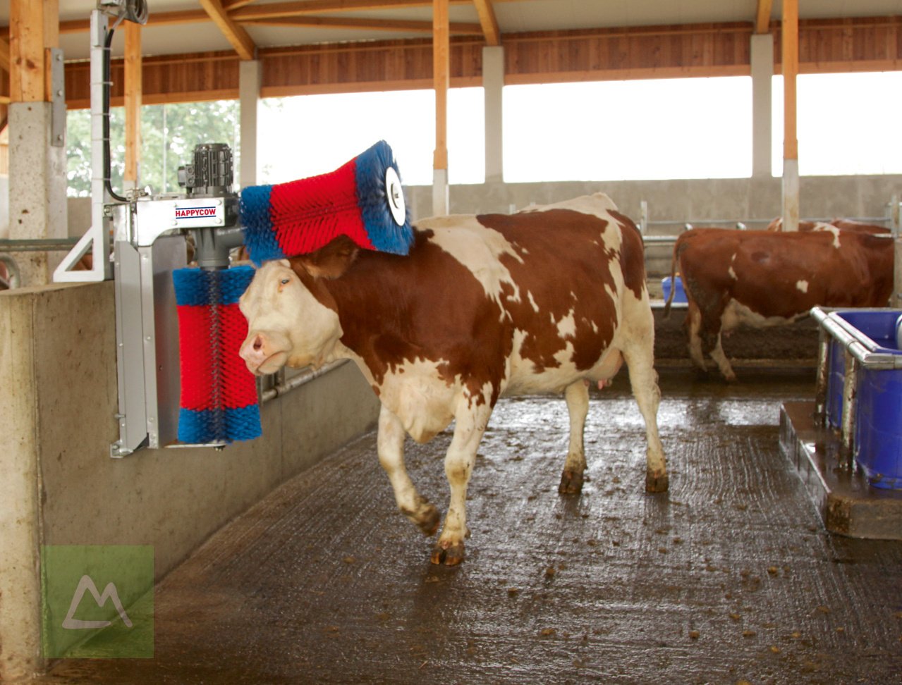 Sonstige Hoftechnik van het type Kerbl Kerbl Kuhputzmaschine HAPPYCOW DUO (kostenlose Lieferung), Neumaschine in Weiz (Foto 3)