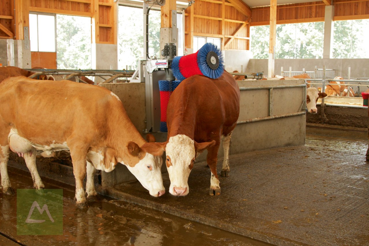 Sonstige Hoftechnik του τύπου Kerbl Kerbl Kuhputzmaschine HAPPYCOW DUO (kostenlose Lieferung), Neumaschine σε Weiz (Φωτογραφία 4)