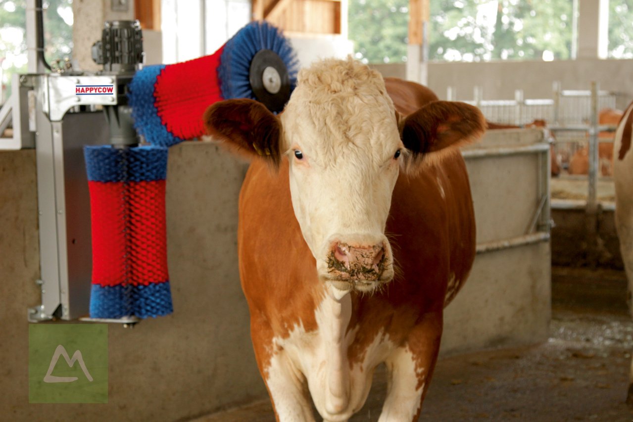 Sonstige Hoftechnik des Typs Kerbl Kerbl Kuhputzmaschine HAPPYCOW DUO (kostenlose Lieferung), Neumaschine in Weiz (Bild 5)