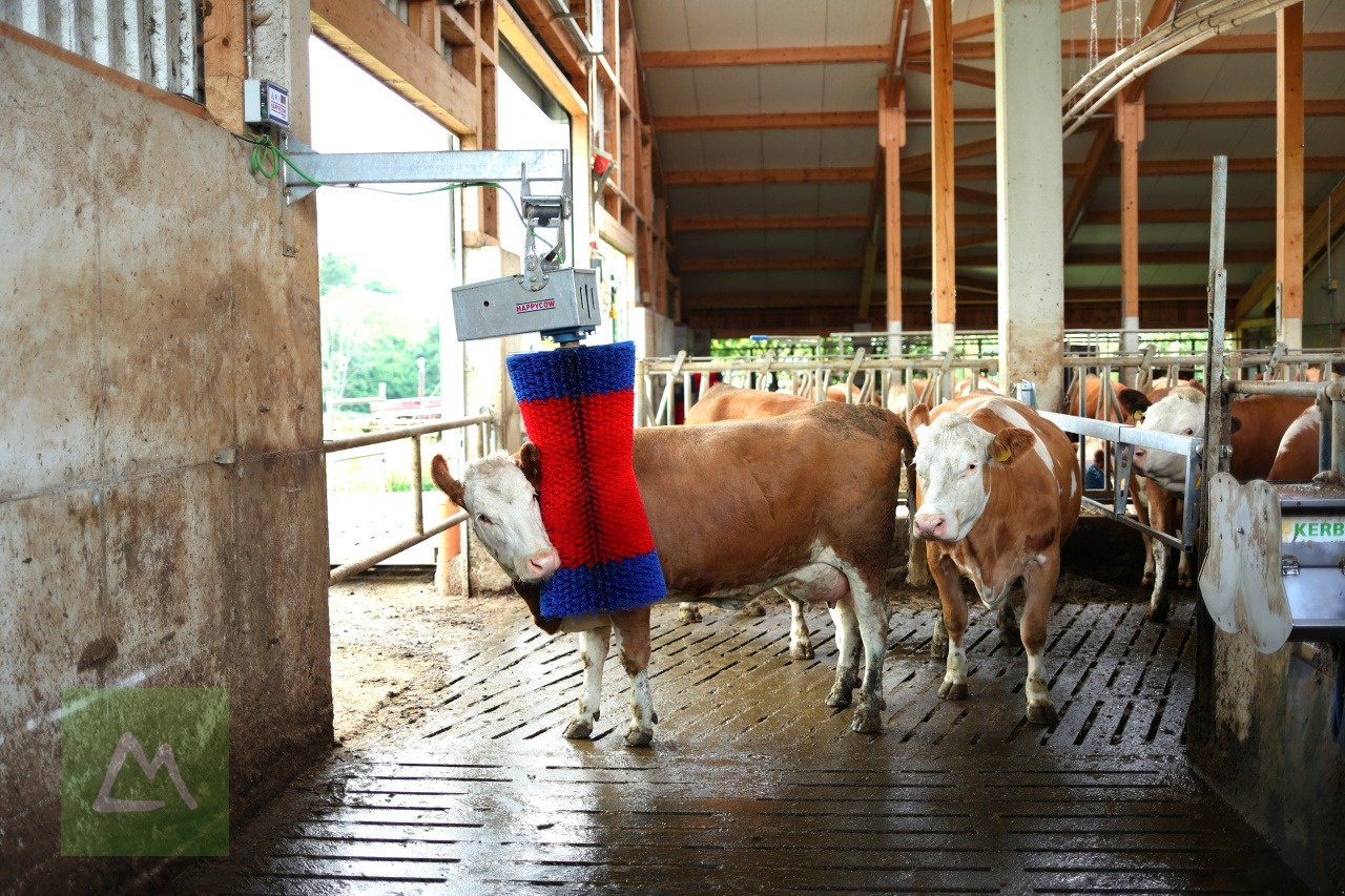 Sonstige Hoftechnik от тип Kerbl Kerbl Kuhputzmaschine HAPPYCOW MaxiSwing (kostenlose Lieferung), Neumaschine в Weiz (Снимка 9)