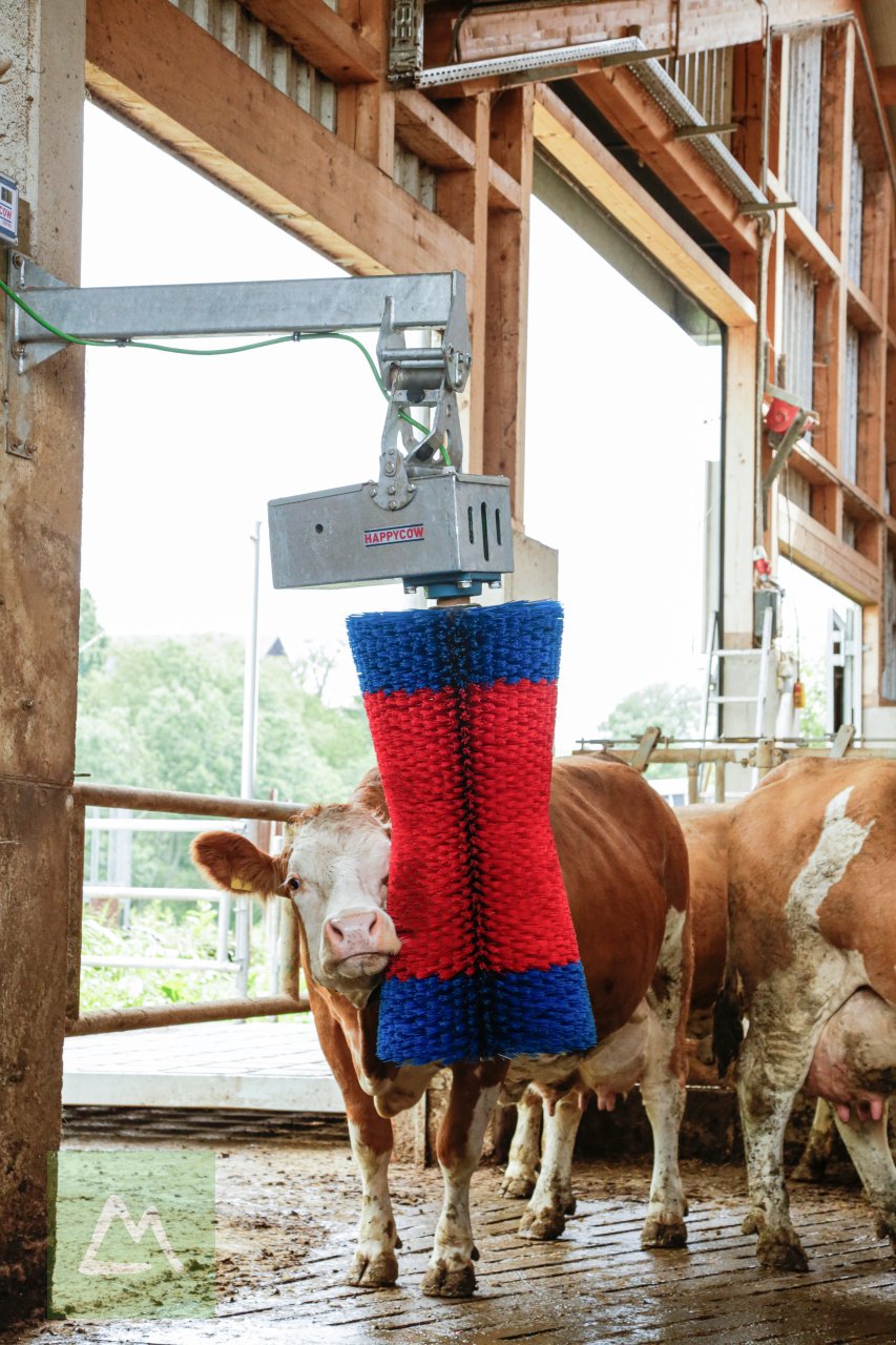 Sonstige Hoftechnik от тип Kerbl Kerbl Kuhputzmaschine HAPPYCOW MaxiSwing (kostenlose Lieferung), Neumaschine в Weiz (Снимка 11)