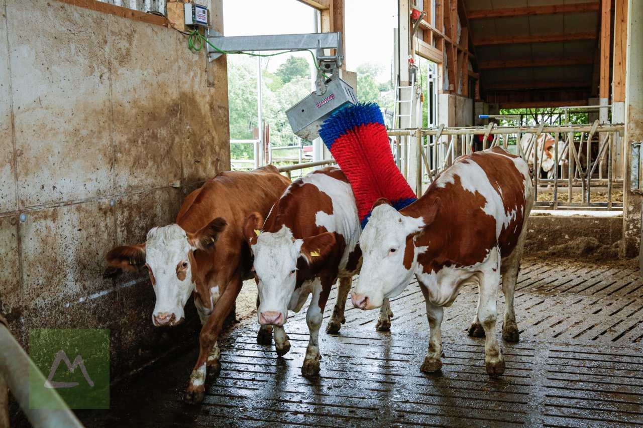 Sonstige Hoftechnik от тип Kerbl Kerbl Kuhputzmaschine HAPPYCOW MaxiSwing (kostenlose Lieferung), Neumaschine в Weiz (Снимка 12)