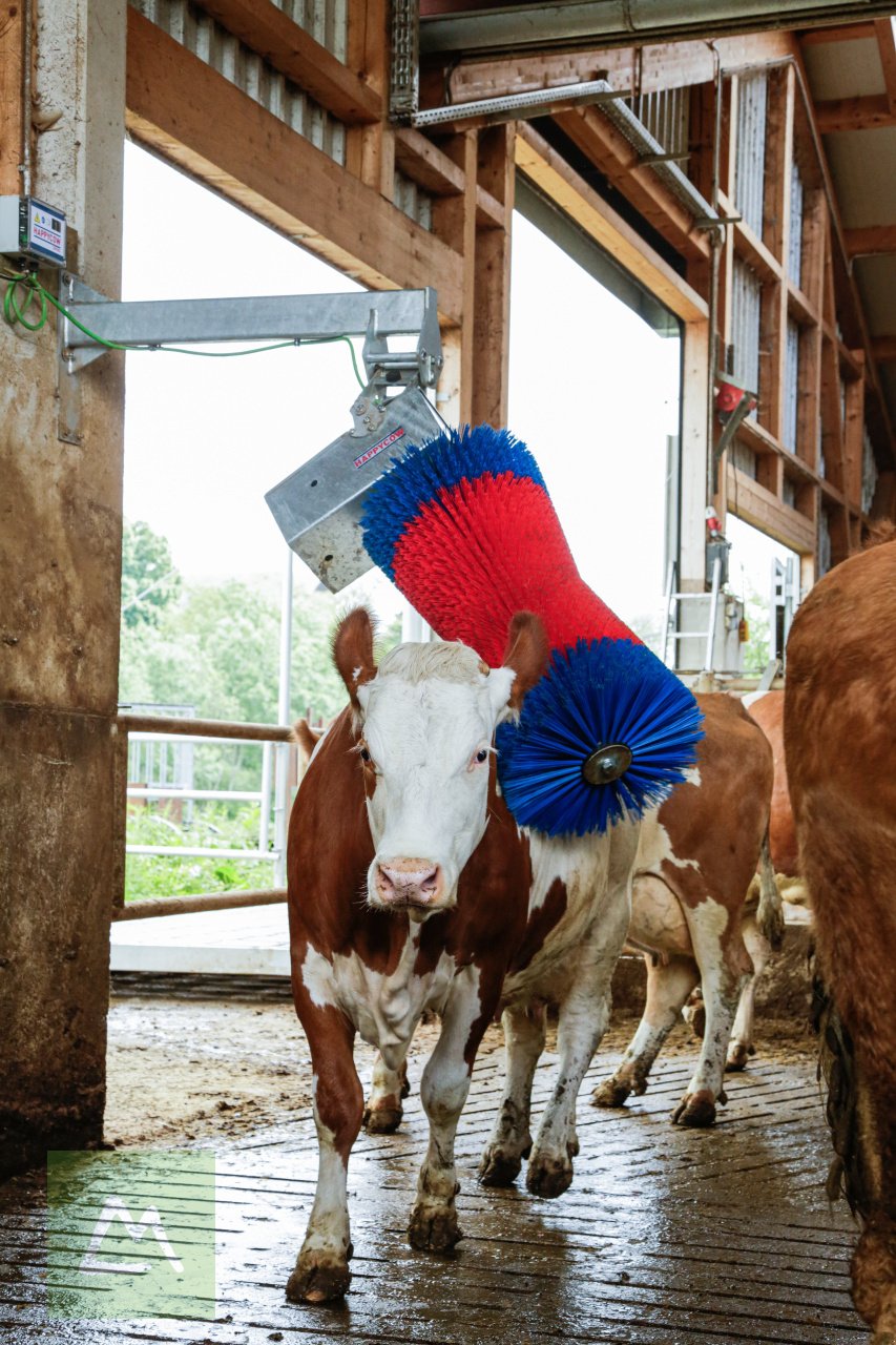 Sonstige Hoftechnik des Typs Kerbl Kerbl Kuhputzmaschine HAPPYCOW MaxiSwing (kostenlose Lieferung), Neumaschine in Weiz (Bild 13)