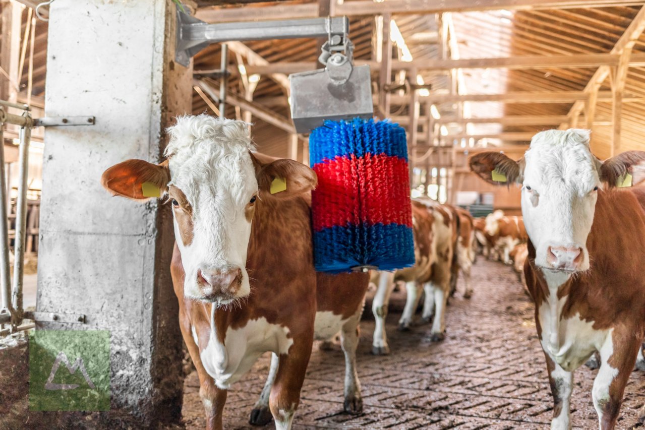 Sonstige Hoftechnik of the type Kerbl Kerbl Kuhputzmaschine HAPPYCOW MidiSwing (kostenlose Lieferung), Neumaschine in Weiz (Picture 2)