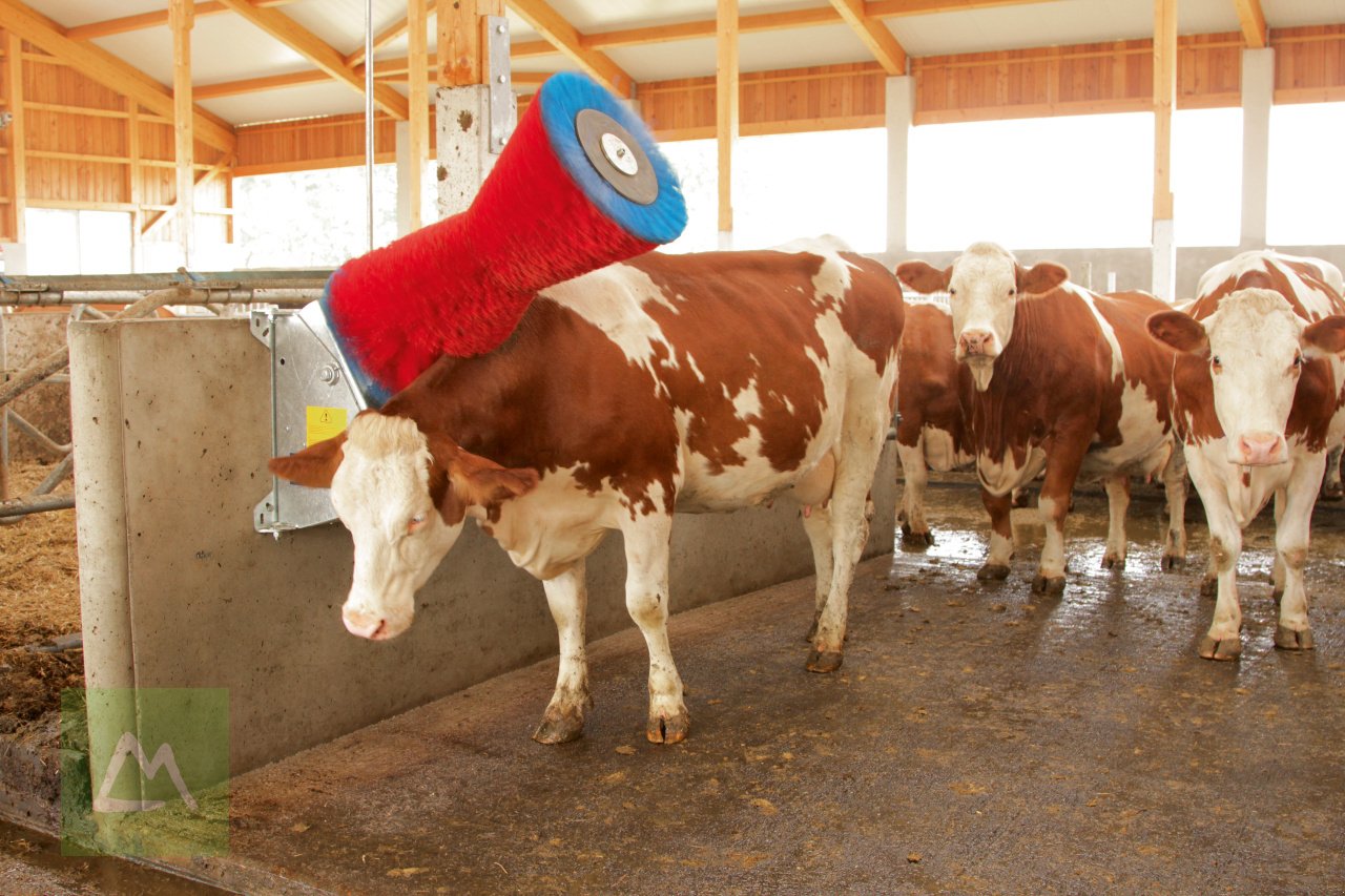 Sonstige Hoftechnik typu Kerbl Kerbl Kuhputzmaschine HAPPYCOW Uno (kostenlose Lieferung), Neumaschine v Weiz (Obrázek 5)