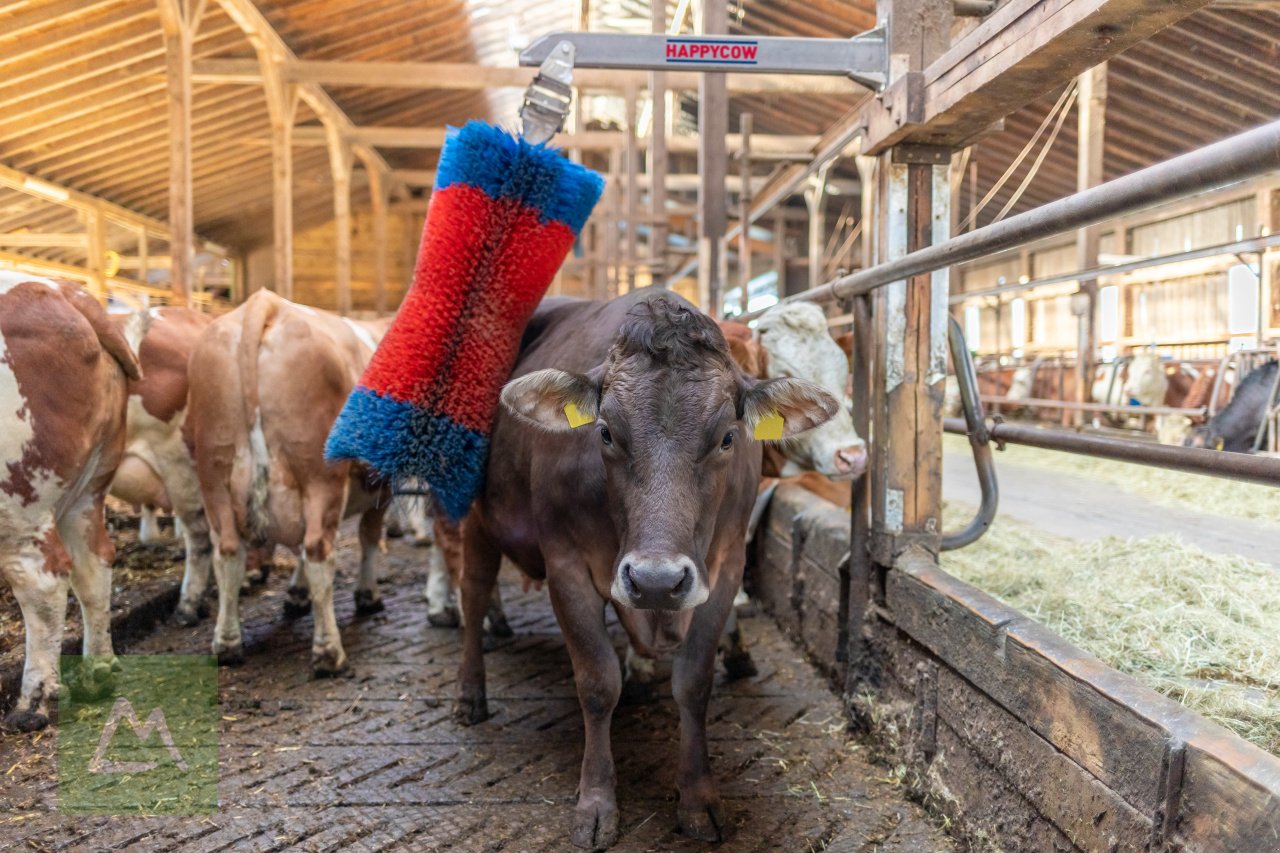 Sonstige Hoftechnik Türe ait Kerbl Viehbürste HAPPYCOW Free Maxi (kostenlose Lieferung), Neumaschine içinde Weiz (resim 2)