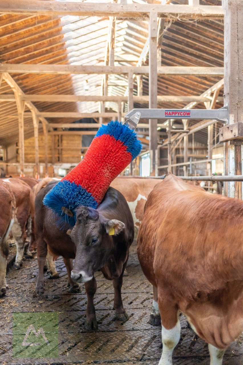 Sonstige Hoftechnik типа Kerbl Viehbürste HAPPYCOW Free Maxi (kostenlose Lieferung), Neumaschine в Weiz (Фотография 3)