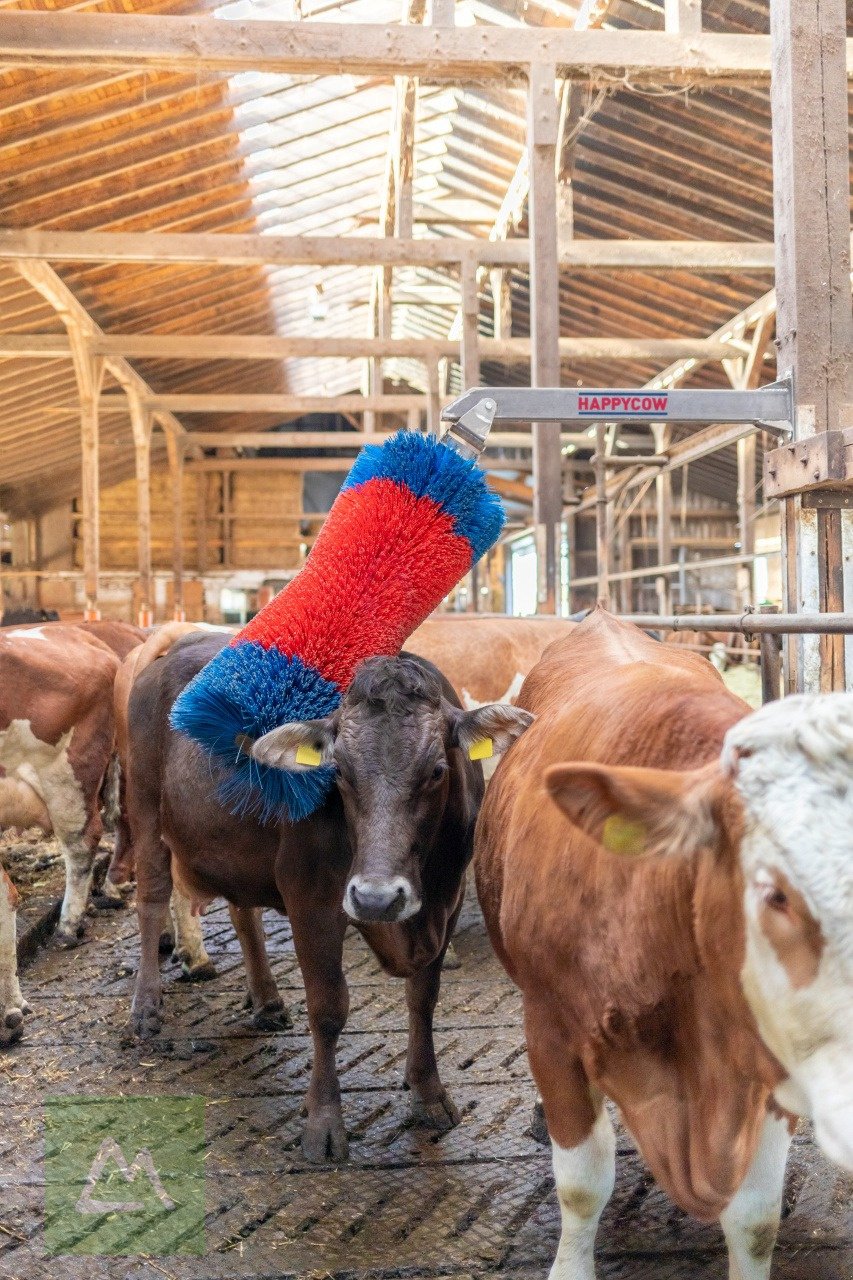 Sonstige Hoftechnik Türe ait Kerbl Viehbürste HAPPYCOW Free Maxi (kostenlose Lieferung), Neumaschine içinde Weiz (resim 5)