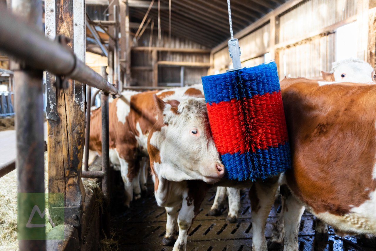 Sonstige Hoftechnik tipa Kerbl Viehbürste HAPPYCOW Free Midi ohne Ausleger (kostenlose Lieferung), Neumaschine u Weiz (Slika 2)