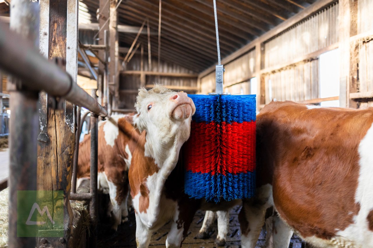 Sonstige Hoftechnik of the type Kerbl Viehbürste HAPPYCOW Free Midi ohne Ausleger (kostenlose Lieferung), Neumaschine in Weiz (Picture 3)