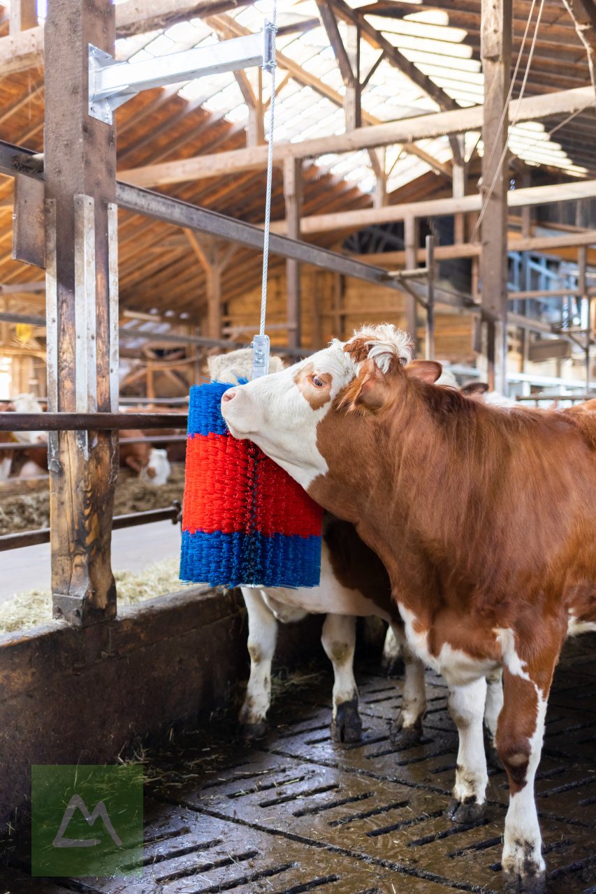 Sonstige Hoftechnik del tipo Kerbl Viehbürste HAPPYCOW Free Midi ohne Ausleger (kostenlose Lieferung), Neumaschine In Weiz (Immagine 4)