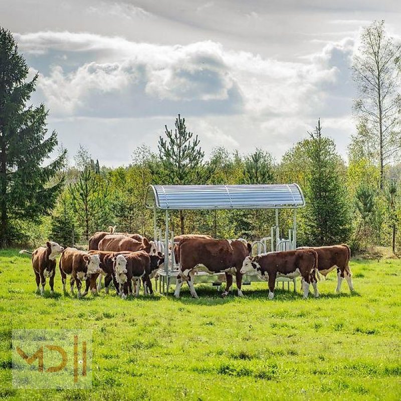 Sonstige Hoftechnik des Typs MD Landmaschinen Kellfri Heuraufe mit Palisaden für Rinder, 12 -14  Fressplätze, Neumaschine in Zeven (Bild 11)