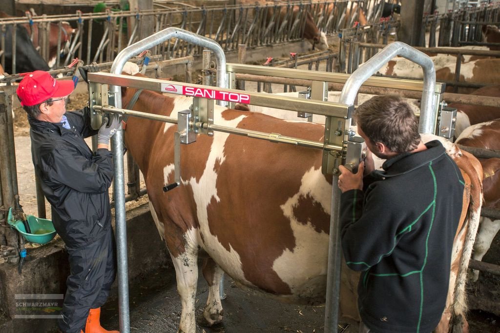 Sonstige Hoftechnik del tipo Rosensteiner Sani Top 5, Neumaschine en Gampern (Imagen 9)