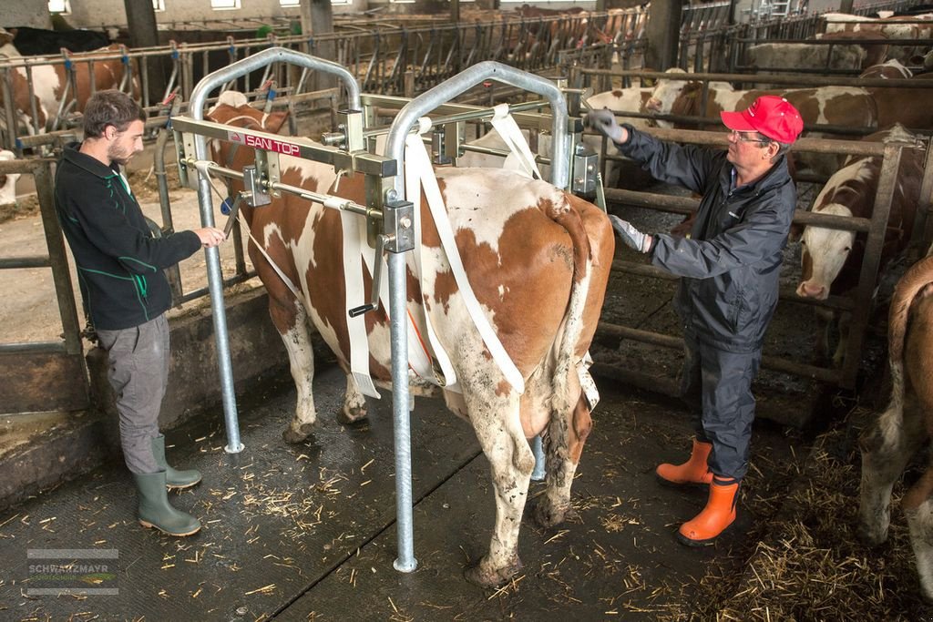 Sonstige Hoftechnik typu Rosensteiner Sani Top 5, Neumaschine v Gampern (Obrázek 8)