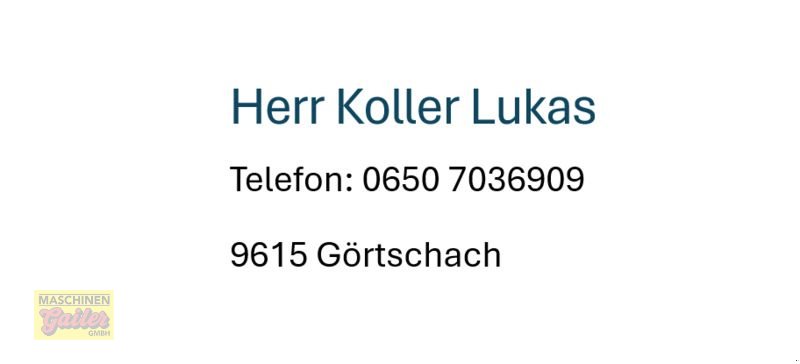 Sonstige Hoftechnik Türe ait Rotex GG4SS-3-6000 Benzinaggregat mit 6 kVA, Gebrauchtmaschine içinde Kötschach (resim 2)