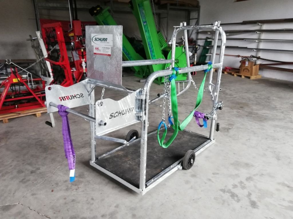 Sonstige Hoftechnik typu Schurr  Klauenpflegestand Neue Version, Neumaschine v Grünbach (Obrázek 9)