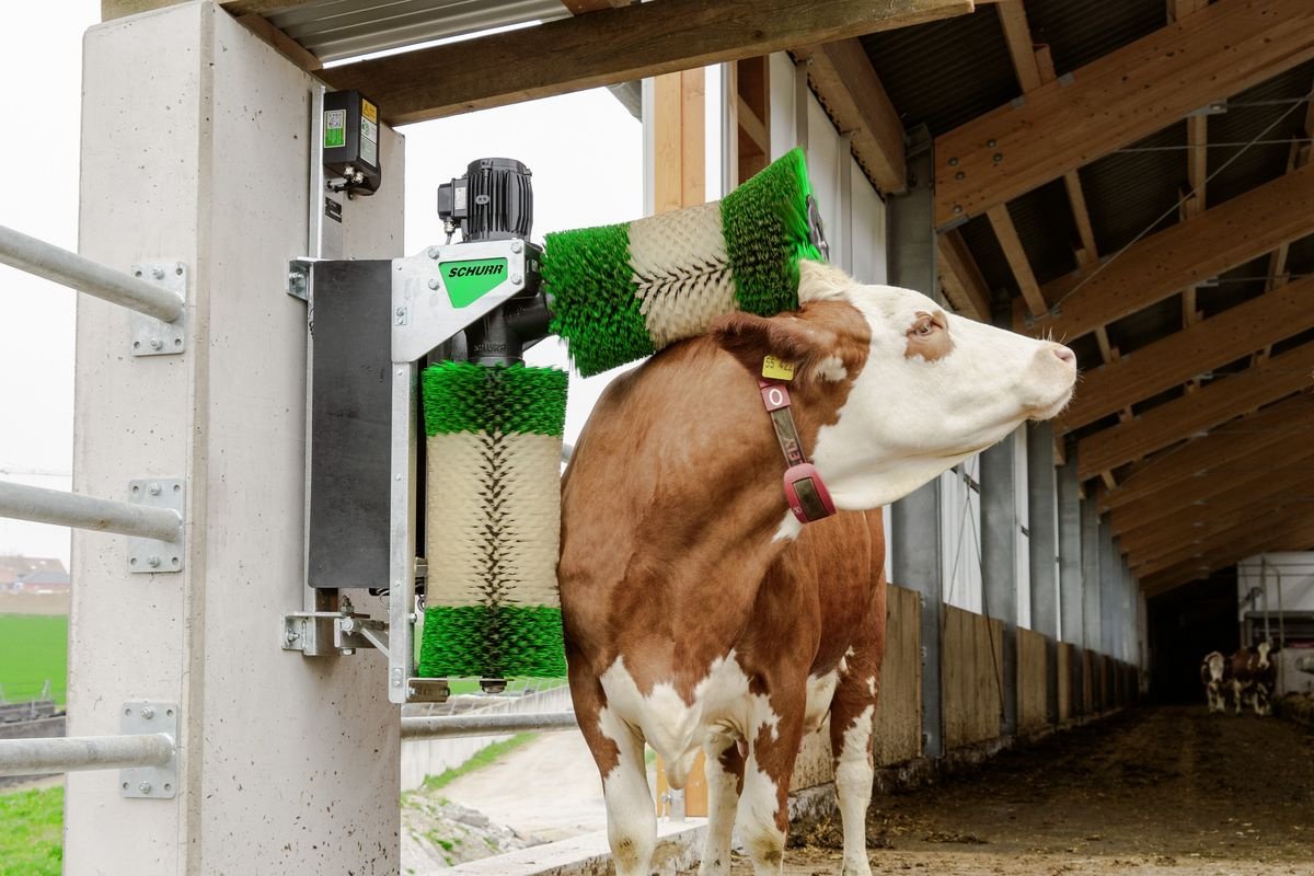 Sonstige Hoftechnik del tipo Schurr  Kuhbürste D 22, Neumaschine en Grünbach (Imagen 1)