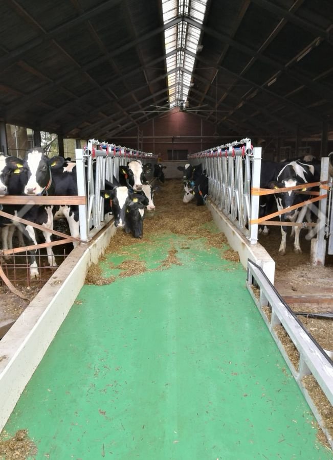 Sonstige Hoftechnik типа Sonstige Eder Feedstar, Neumaschine в Liebenau (Фотография 2)