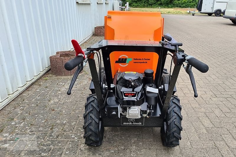 Sonstige Hoftechnik a típus Sonstige Motorschubkarre Muck Truck Moritz, Neumaschine ekkor: Wesenberg (Kép 4)