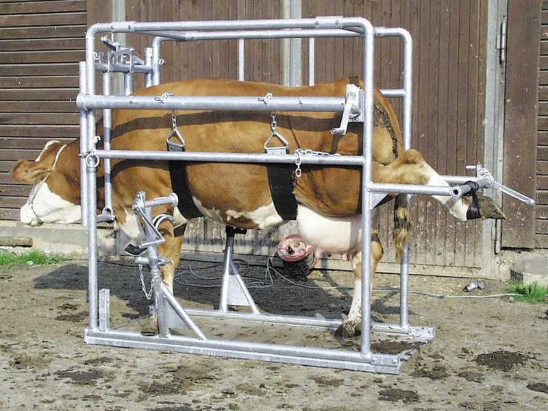 Sonstige Hoftechnik van het type Sonstige PATURA Klauenpflegestand, Gebrauchtmaschine in Grünbach (Foto 1)