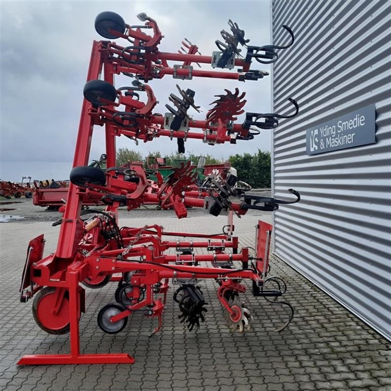 Sonstige Kartoffeltechnik типа Einböck Rollstar ekr-8 Stjernerulle renser, Gebrauchtmaschine в Horsens (Фотография 6)