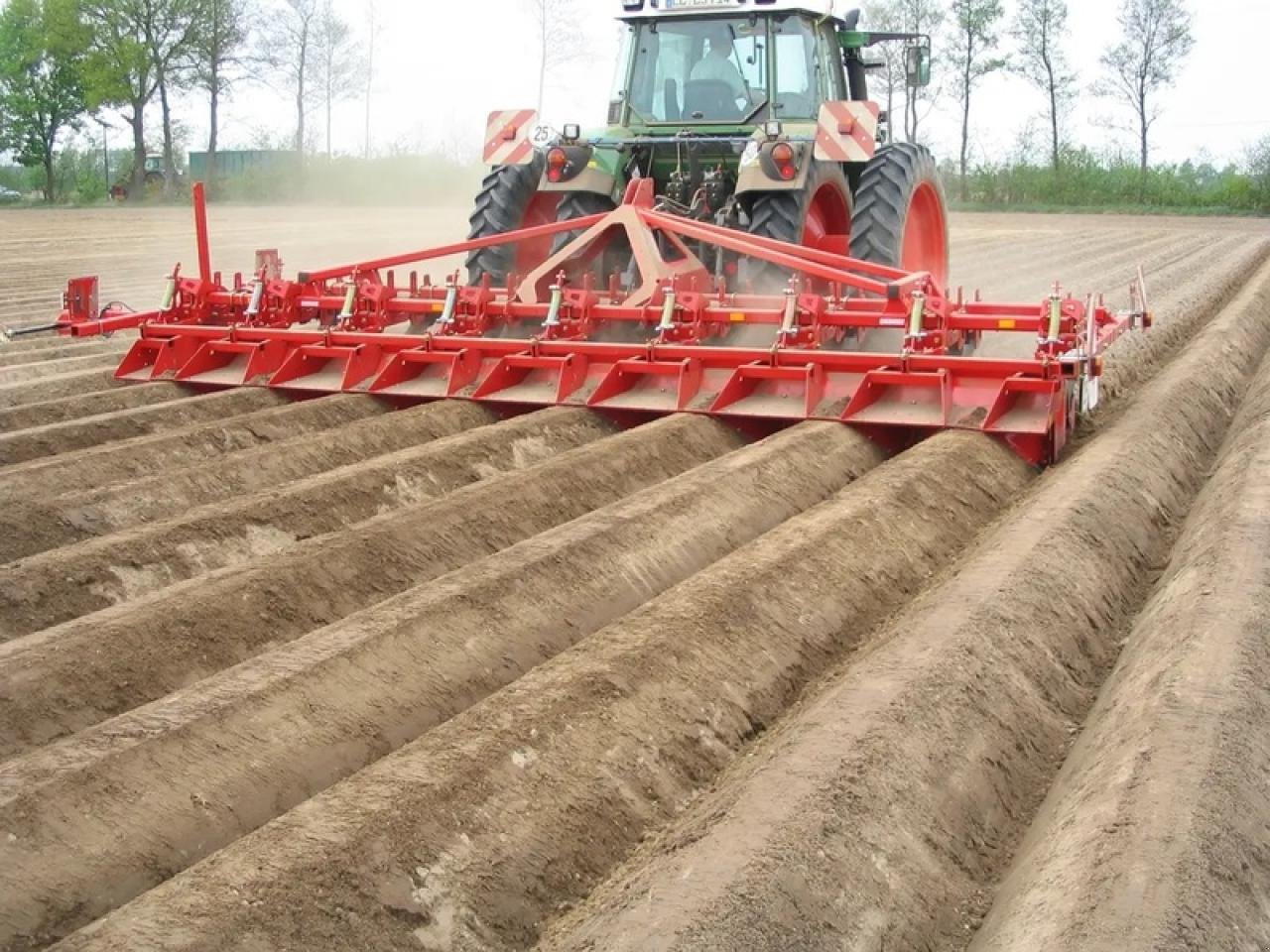 Sonstige Kartoffeltechnik tip Grimme DAMMFORMER GH 8 ÖKO, Neumaschine in Vehlow (Poză 2)