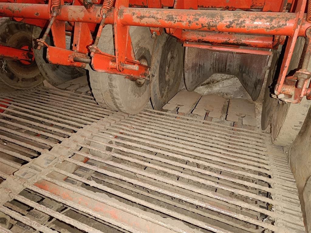 Sonstige Kartoffeltechnik of the type Grimme Hylleberg RL 1500 Frilægger, Gebrauchtmaschine in Egtved (Picture 5)