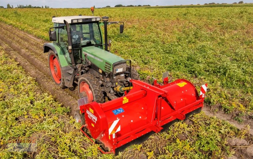 Sonstige Kartoffeltechnik του τύπου Grimme KS 75-4, Neumaschine σε Hardifort (Φωτογραφία 1)