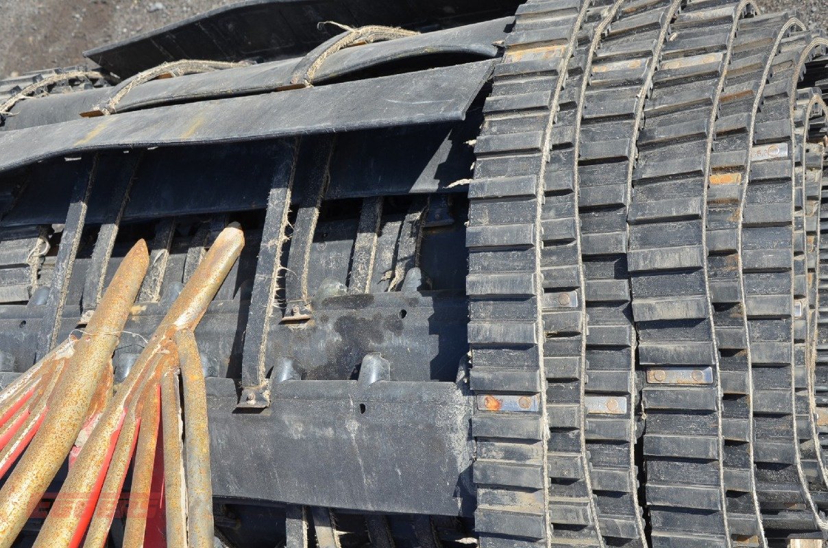 Sonstige Kartoffeltechnik des Typs Grimme Möhrenausrüstung SE 85-55, Gebrauchtmaschine in Suhlendorf (Bild 5)