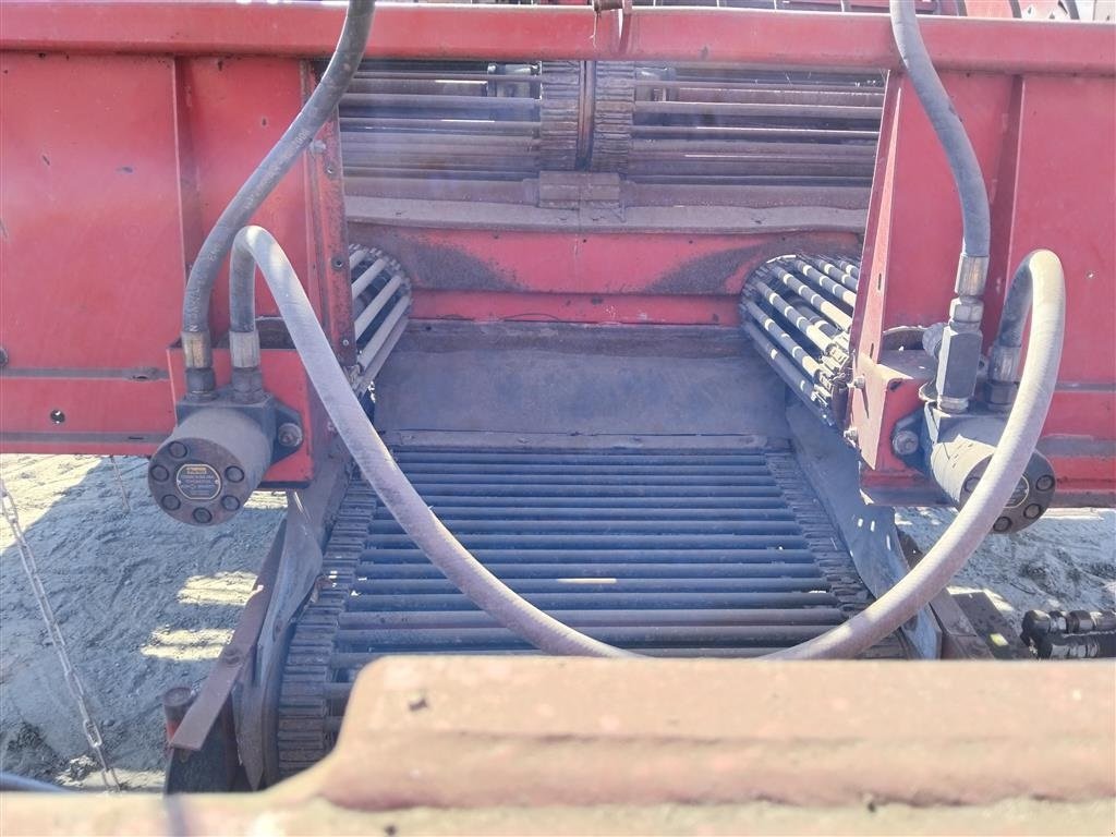 Sonstige Kartoffeltechnik des Typs Grimme RL 3000, Gebrauchtmaschine in  (Bild 4)