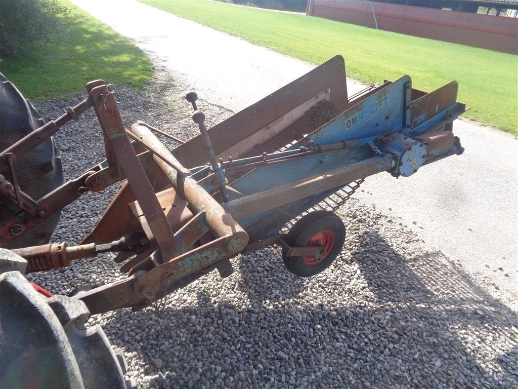 Sonstige Kartoffeltechnik van het type Omme 1 rækket, Gebrauchtmaschine in Tinglev (Foto 1)