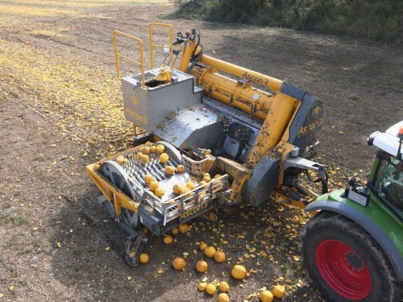 Sonstige Kartoffeltechnik des Typs Sonstige Ascon 3 Phönix, Gebrauchtmaschine in Zwettl