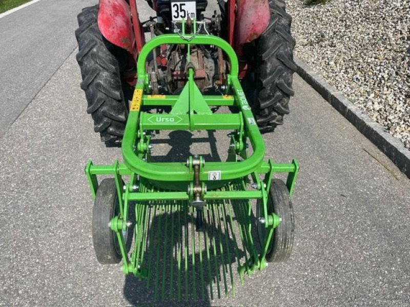 Sonstige Kartoffeltechnik tip Sonstige Kartoffelroder BOMET Z-655/1 URSA, Vorführmaschine in NATTERNBACH (Poză 3)