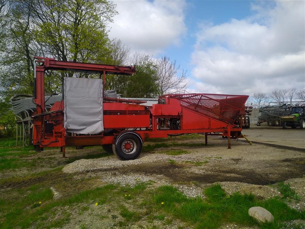 Sonstige Kartoffeltechnik typu Sonstige Sonstiges, Gebrauchtmaschine v Roslev (Obrázek 4)