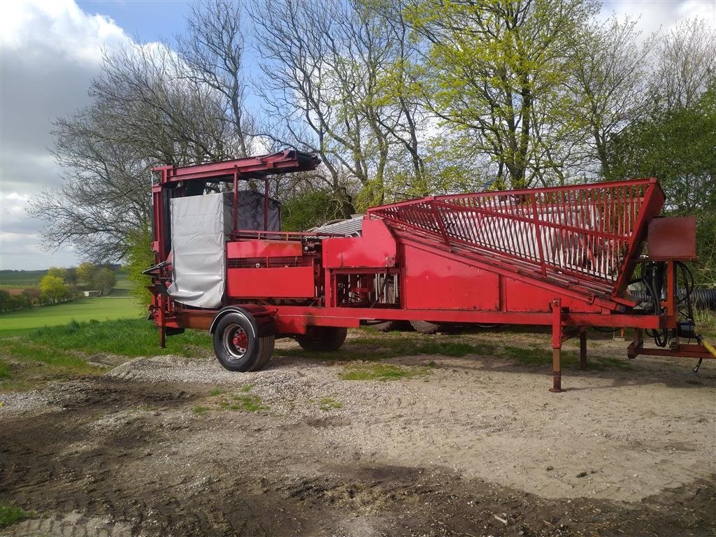 Sonstige Kartoffeltechnik des Typs Sonstige Sonstiges, Gebrauchtmaschine in Roslev (Bild 2)