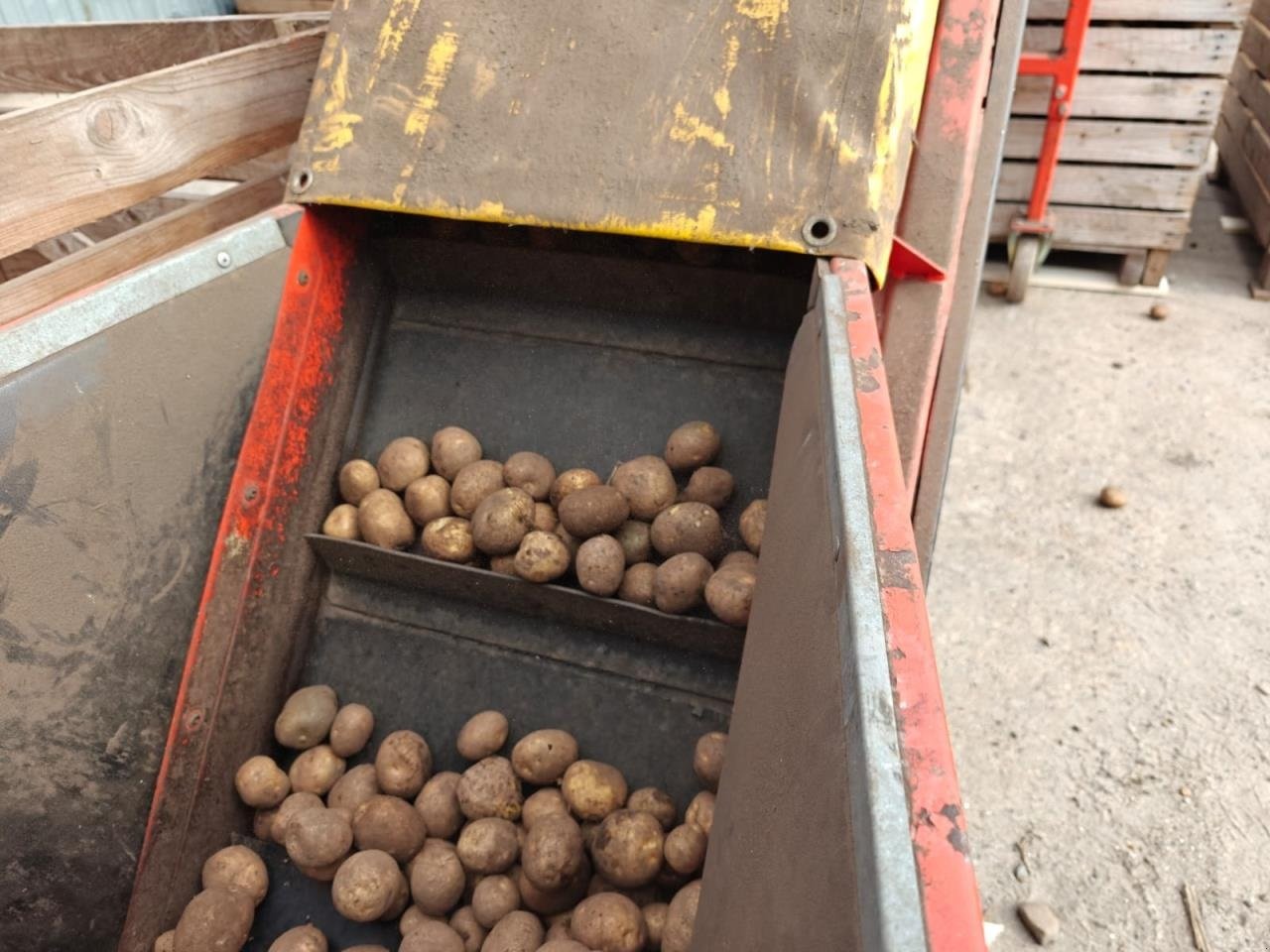 Sonstige Kartoffeltechnik du type Sonstige STORSÆKKE FYLDER, Gebrauchtmaschine en Bording (Photo 8)