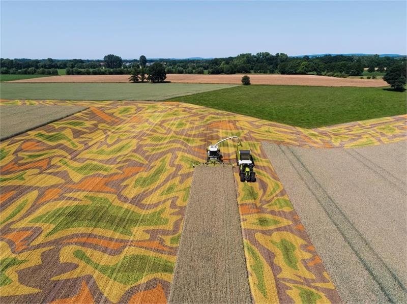 Sonstige Mähdrescherteile типа CLAAS ORBIS 900, Gebrauchtmaschine в Aalestrup (Фотография 1)