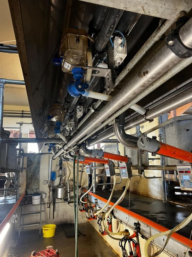 Sonstige Melktechnik & Kühltechnik del tipo AUtomatisierungstechnik Graf Melkstand 2x6 Swing Over, Gebrauchtmaschine In St. Peter am Freienstein (Immagine 7)