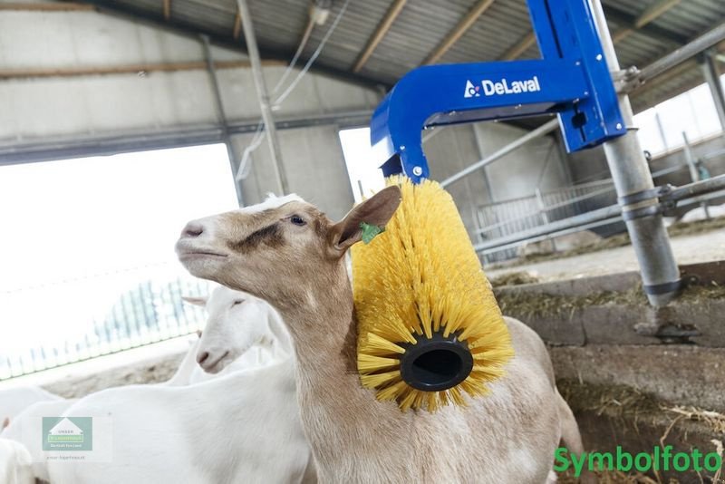 Sonstige Melktechnik & Kühltechnik des Typs De Laval DeLaval Mini Schwingbürste, Neumaschine in Klagenfurt (Bild 8)