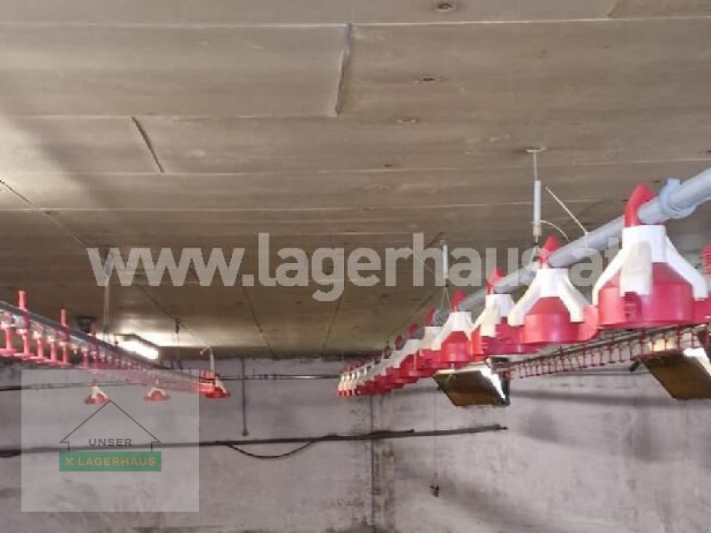 Sonstige Melktechnik & Kühltechnik des Typs Sonstige GEFLÜGELMAST-STALLEINRICHTUNG, Gebrauchtmaschine in Aschbach (Bild 1)