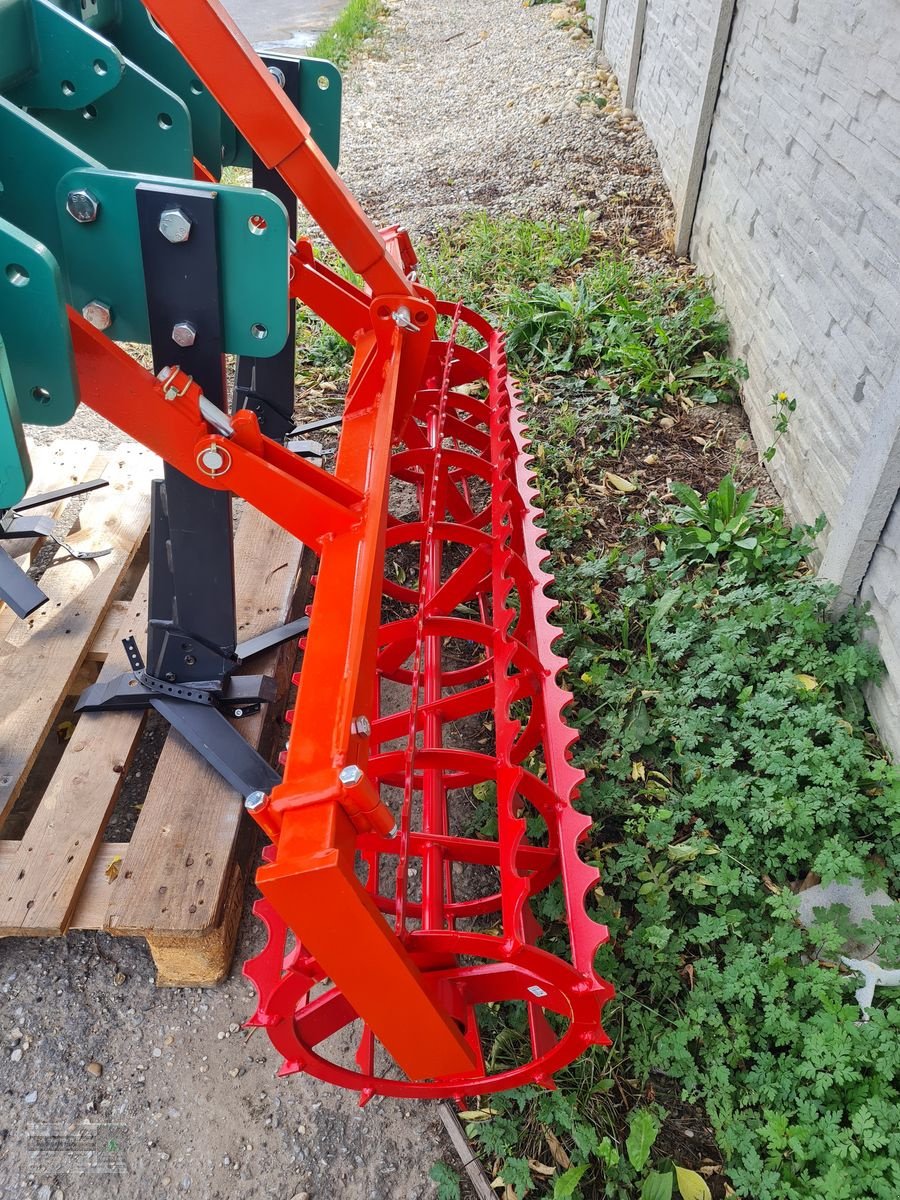 Sonstige Obsttechnik & Weinbautechnik van het type Clemens Hexagon Grubber, Neumaschine in Gerasdorf (Foto 4)