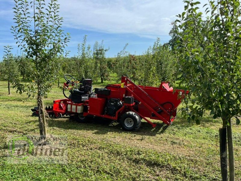 Sonstige Obsttechnik & Weinbautechnik des Typs Feucht OB 100, Gebrauchtmaschine in Oberteuringen